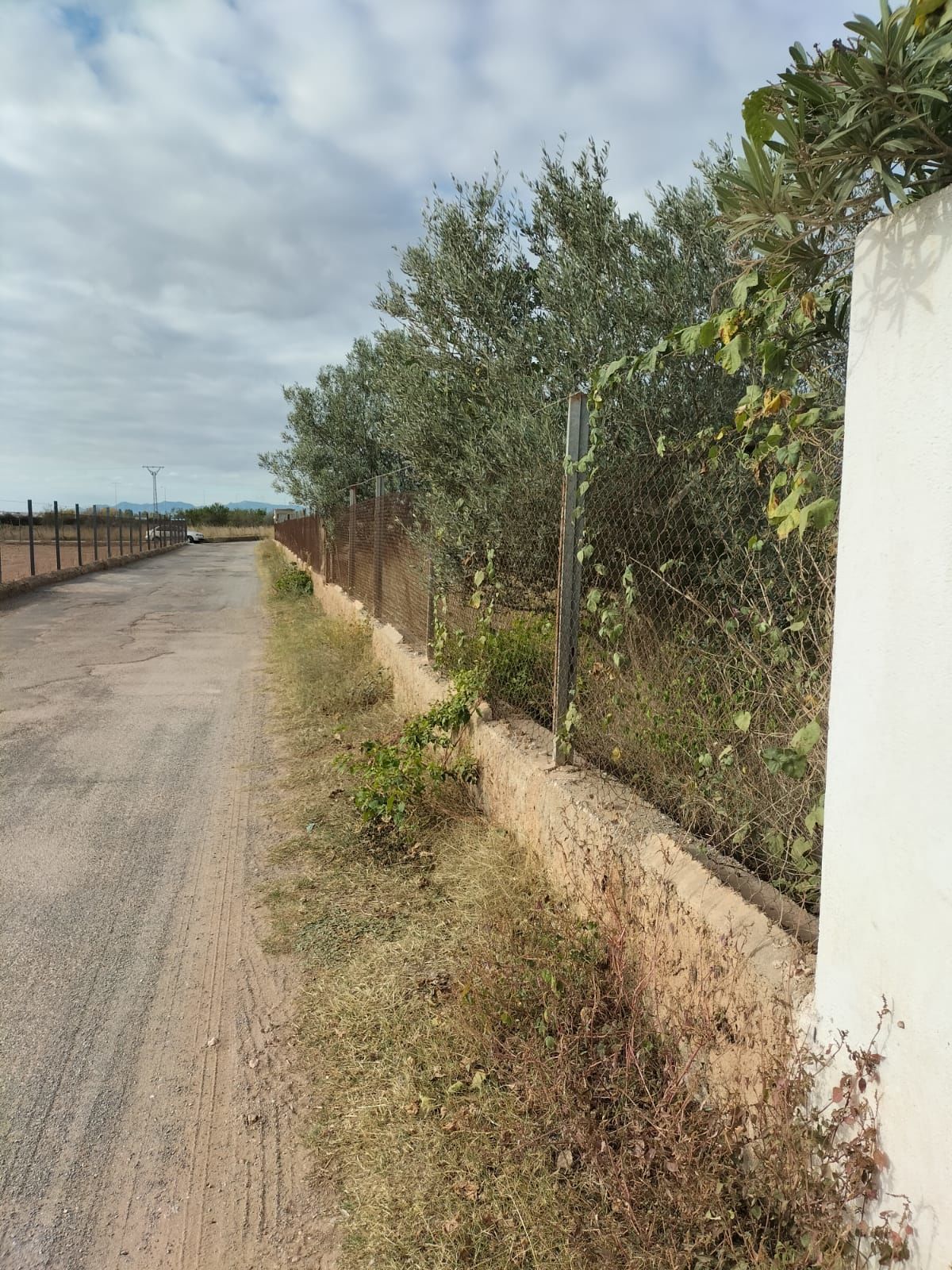 Por 33000€ terreno rustico cerca d fuente la reina